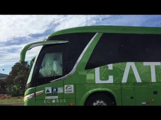 the brazilian national team has come home